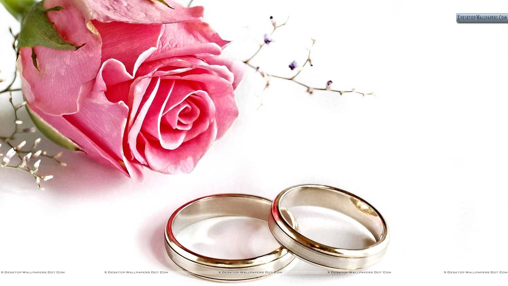 Wedding Rings And Pink Flowers Background
