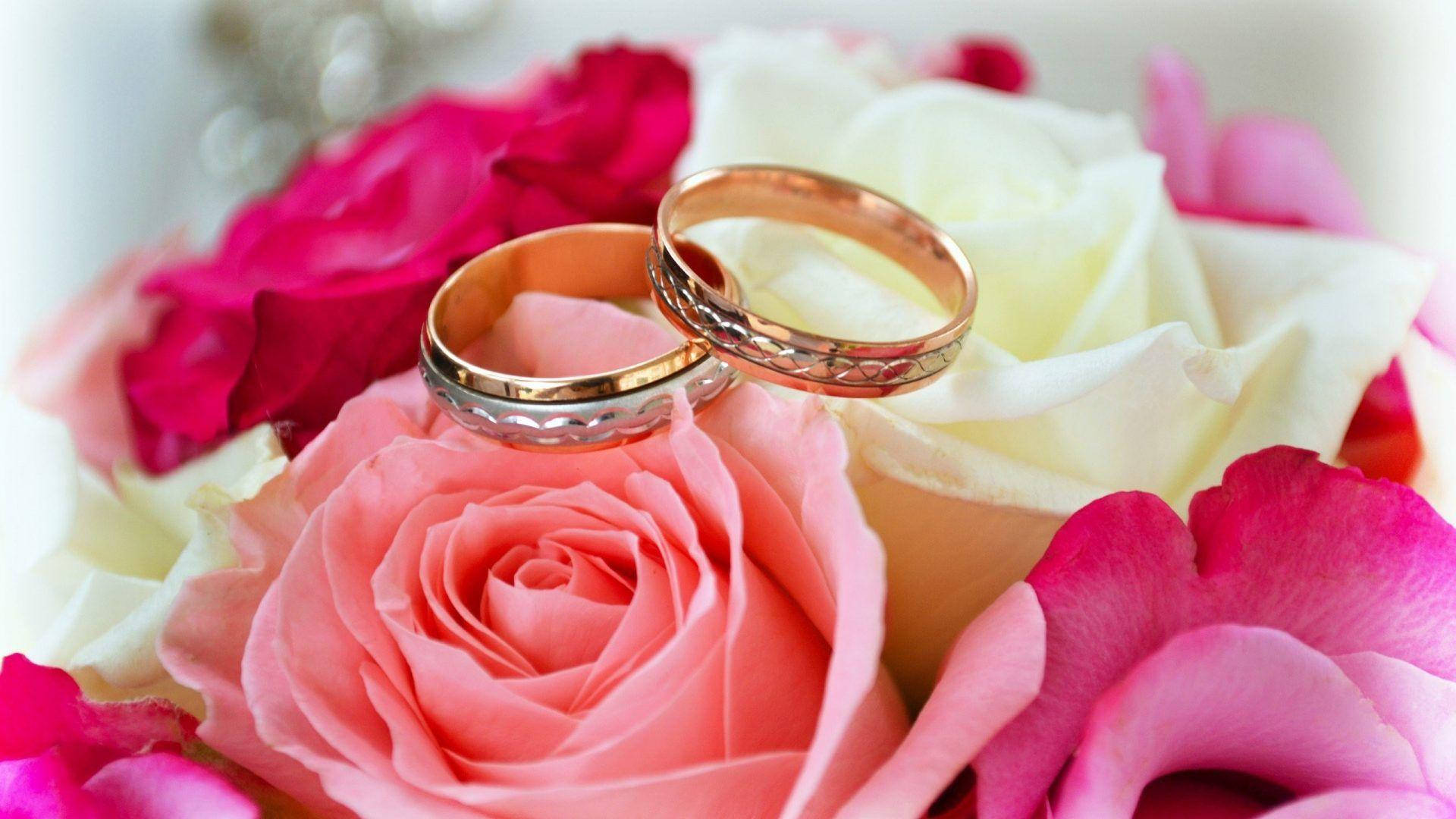 Wedding Rings Love Full Hd