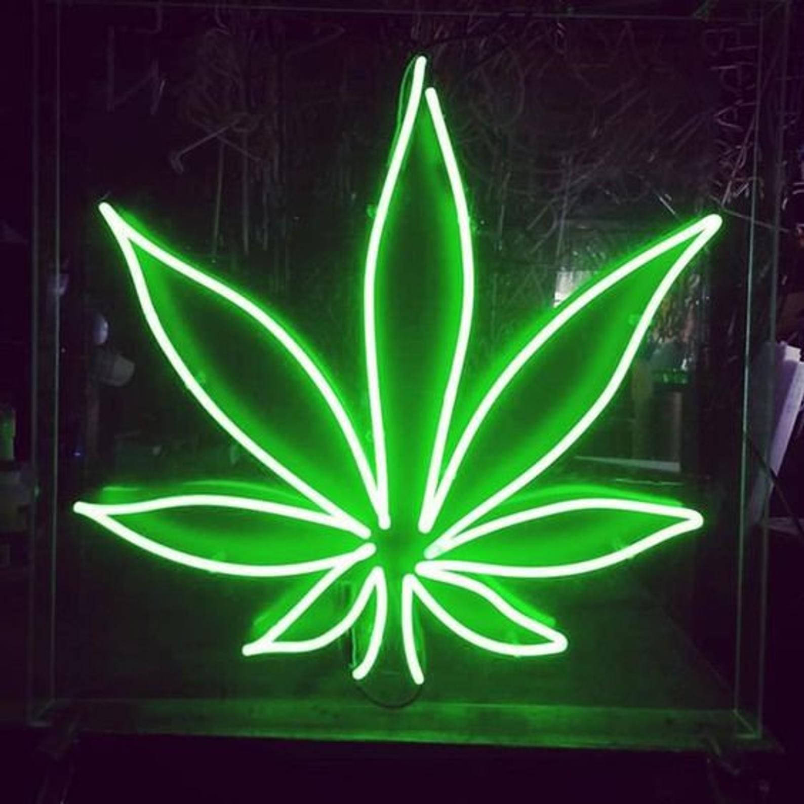 Weed Aesthetic Neon Light Green Background