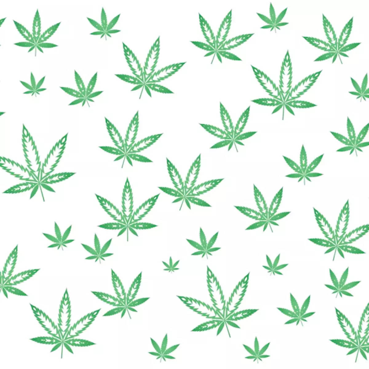 Weed Leaf Pattern In White Backdrop Background