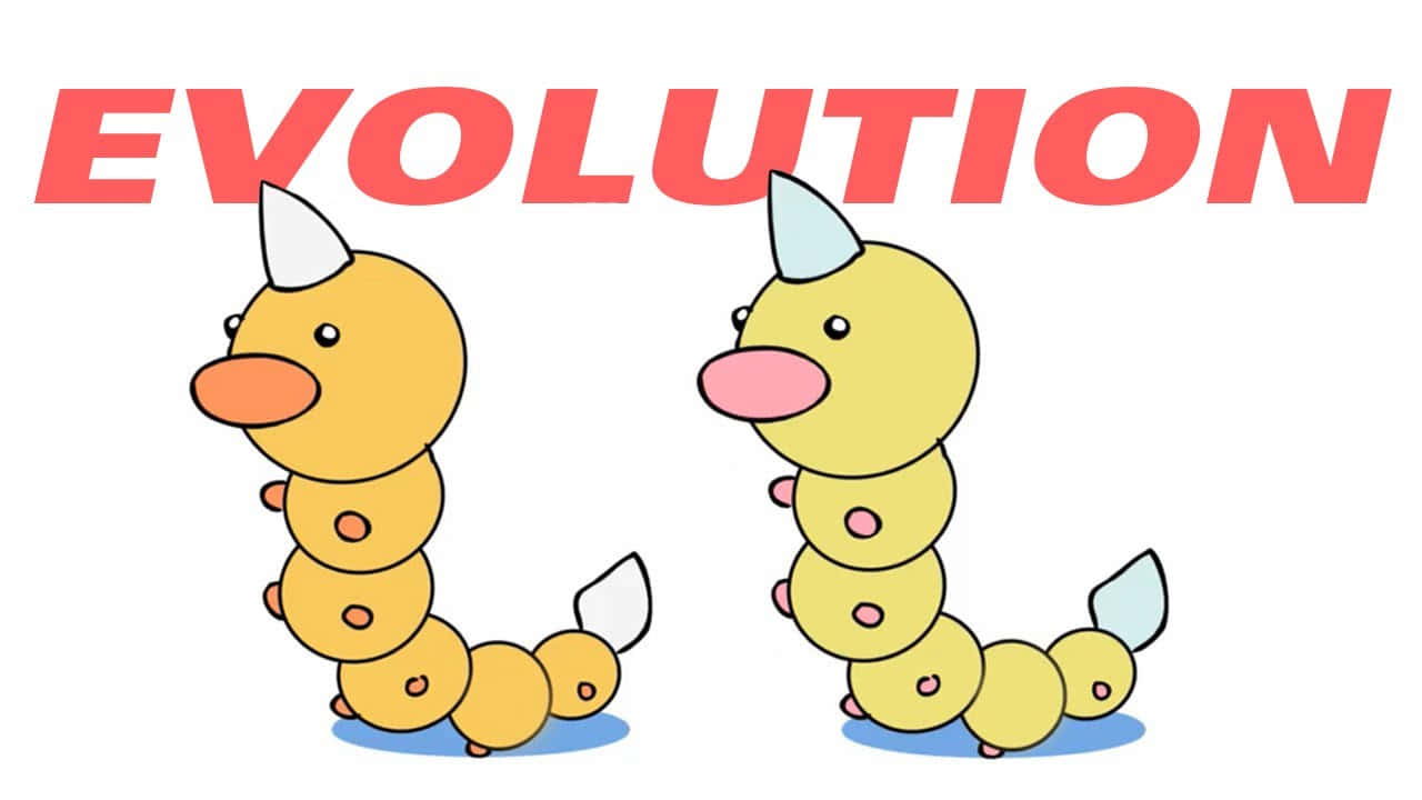 Weedle Evolution Graphic Background