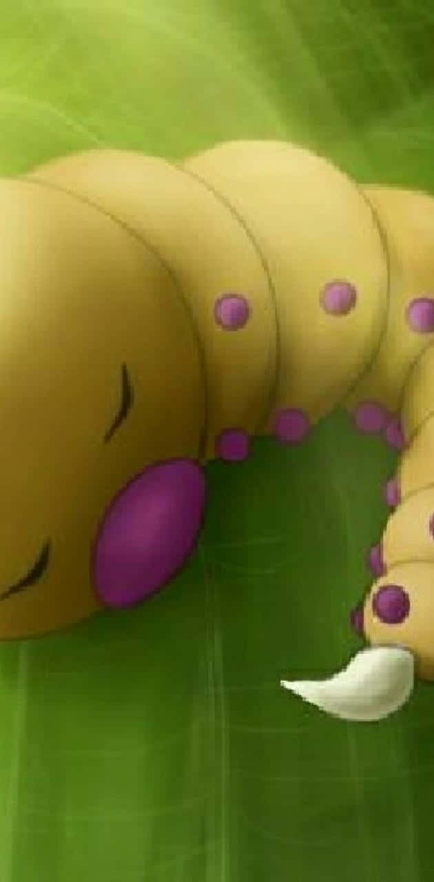 Weedle, The Bug/poison Type Pokémon In Its Natural Habitat Background