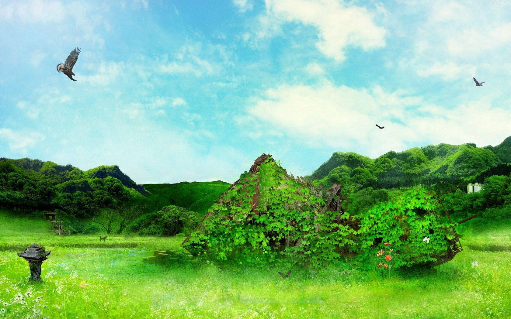 Weeds Growing On Stone Background