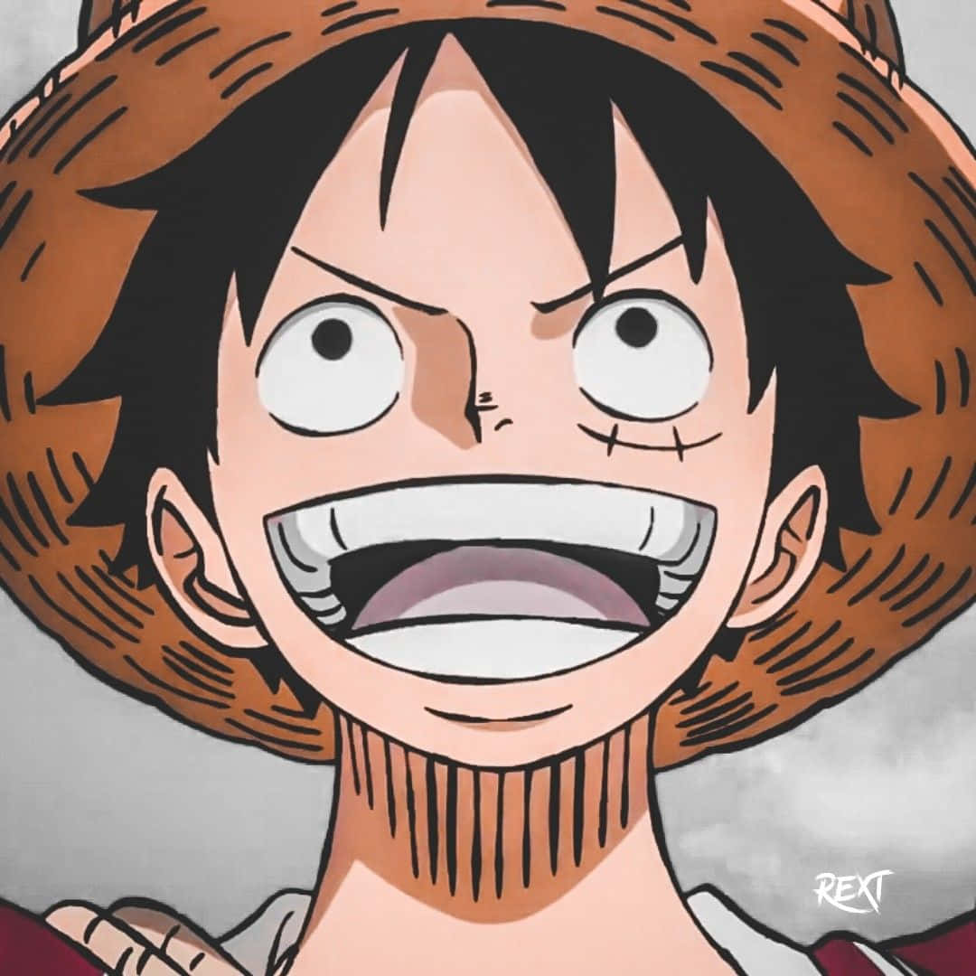 Weird Pfp One Piece