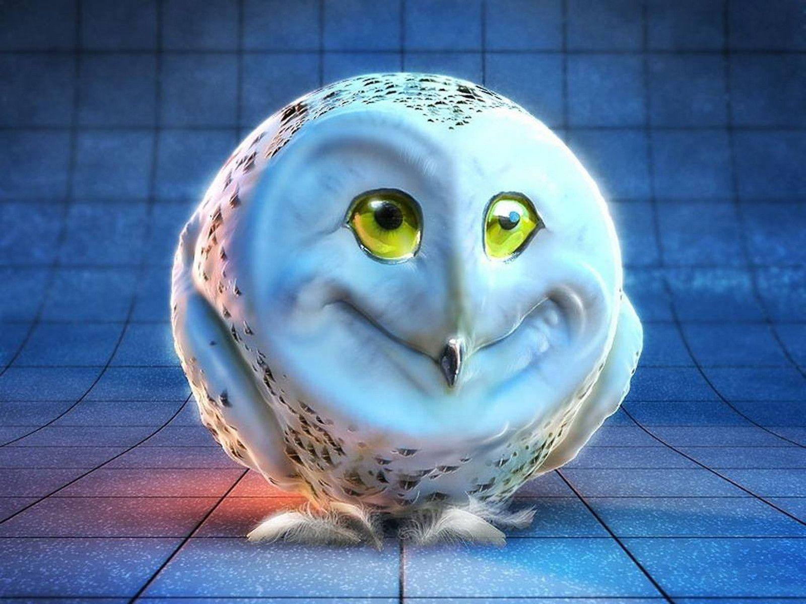 Weird Round Owl Background