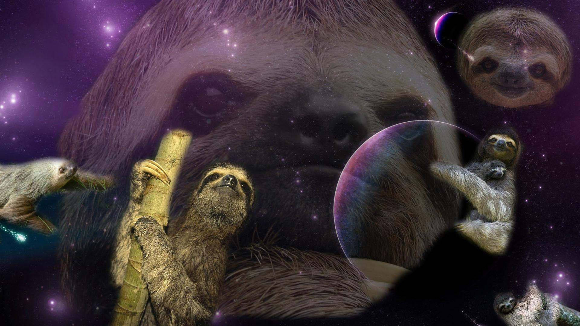 Weird Sloth In The Universe Background