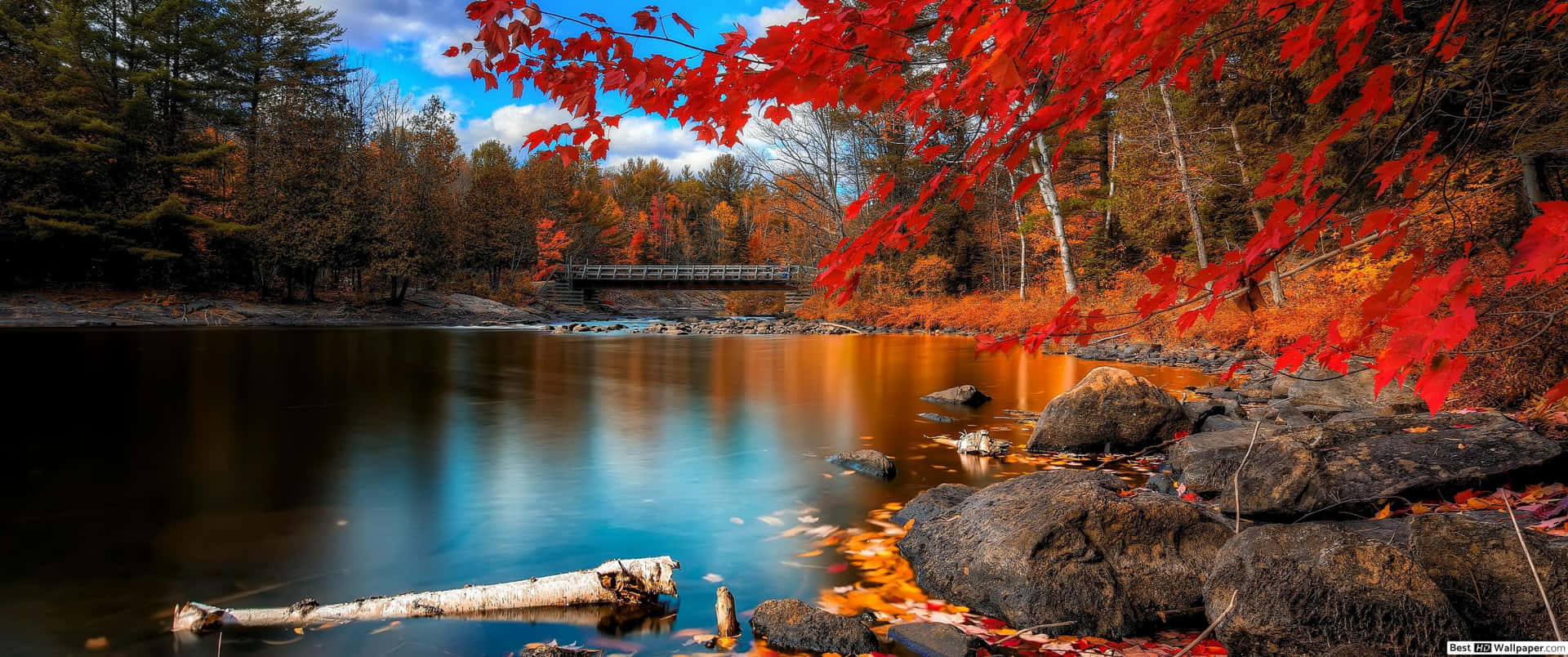 Welcome Autumn With A Vibrant 3440x1440 Fall Wallpapers Background