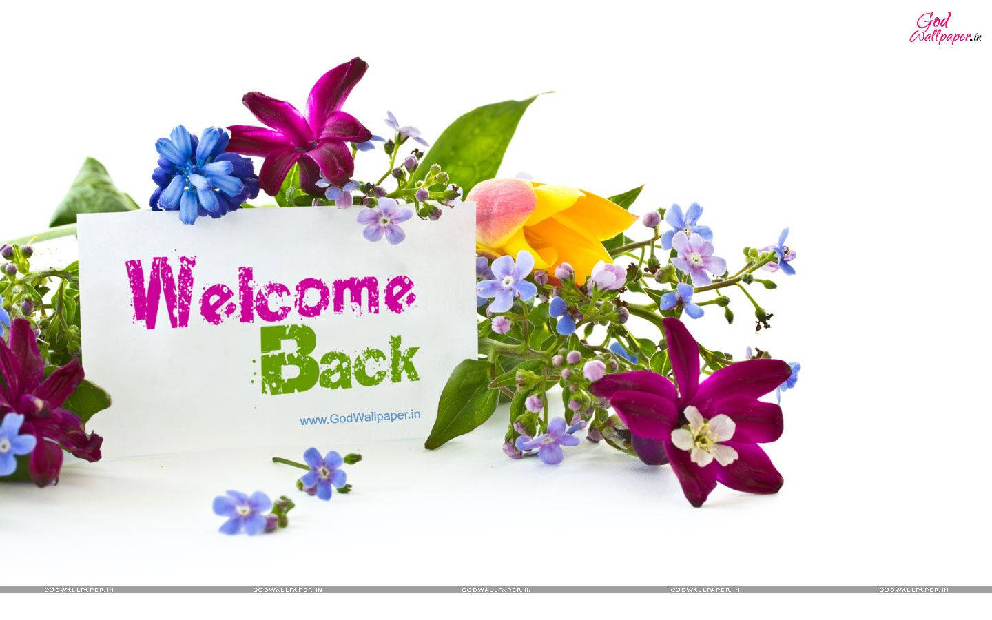 Welcome Back Floral Design Background