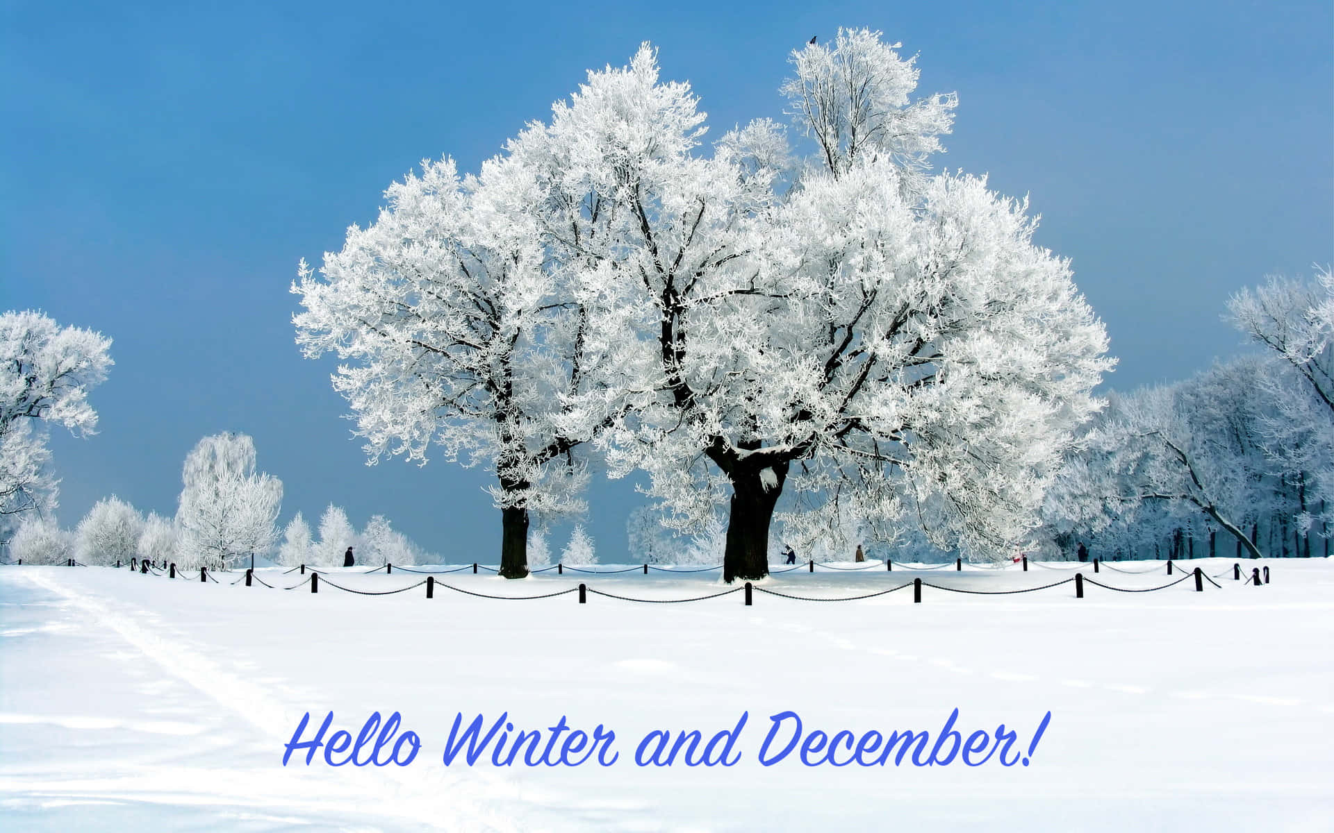 Welcome December 1920 X 1200 Background