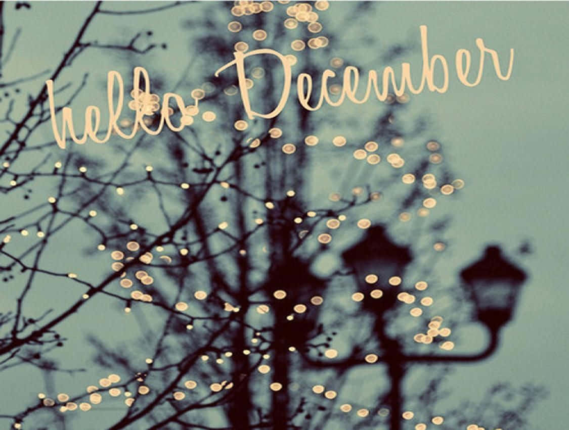 Welcome December – A Season Of Wonder And Joy