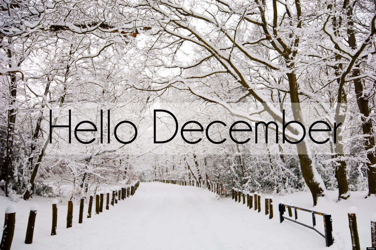 “welcome December, A Time Of Joy And Celebration!”