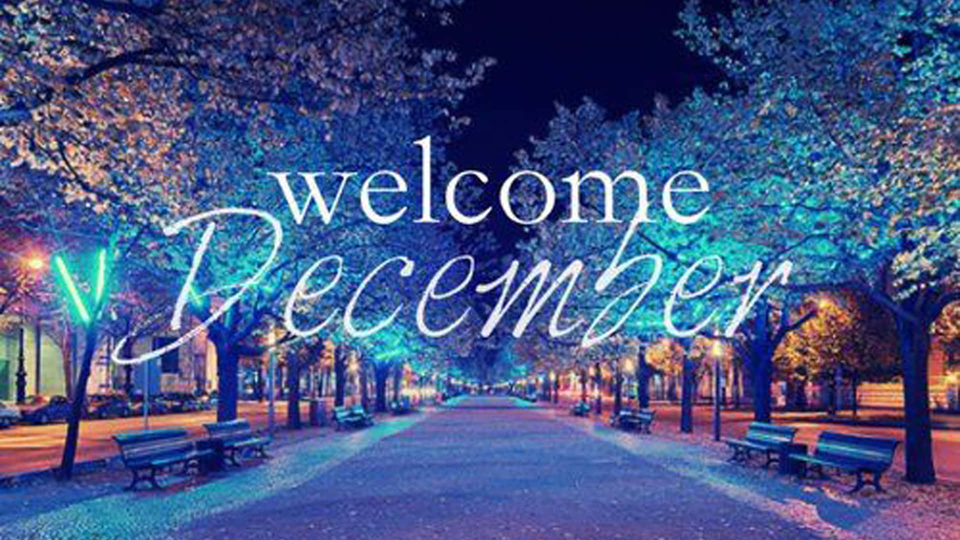 Welcome December Festive Christmas Tree Lights Background