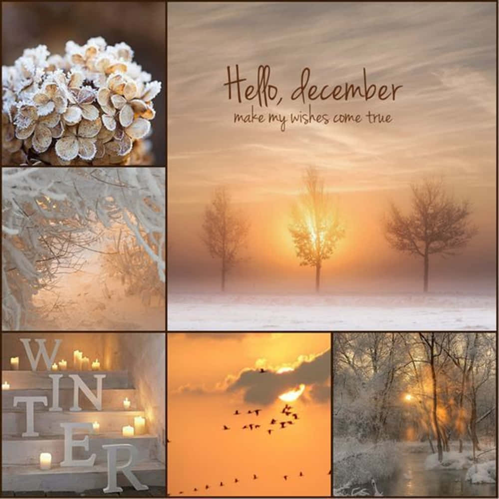 Welcome December Winter Sunset Collage