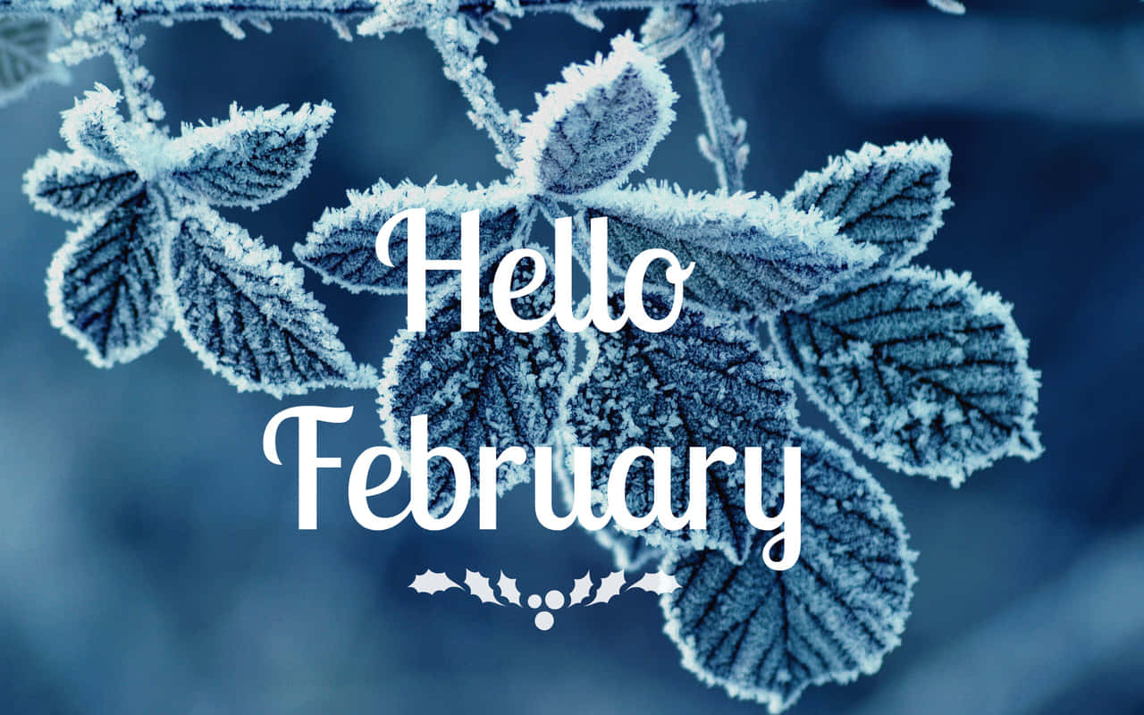 Welcome February, Bringing New Beginnings And New Opportunities Background