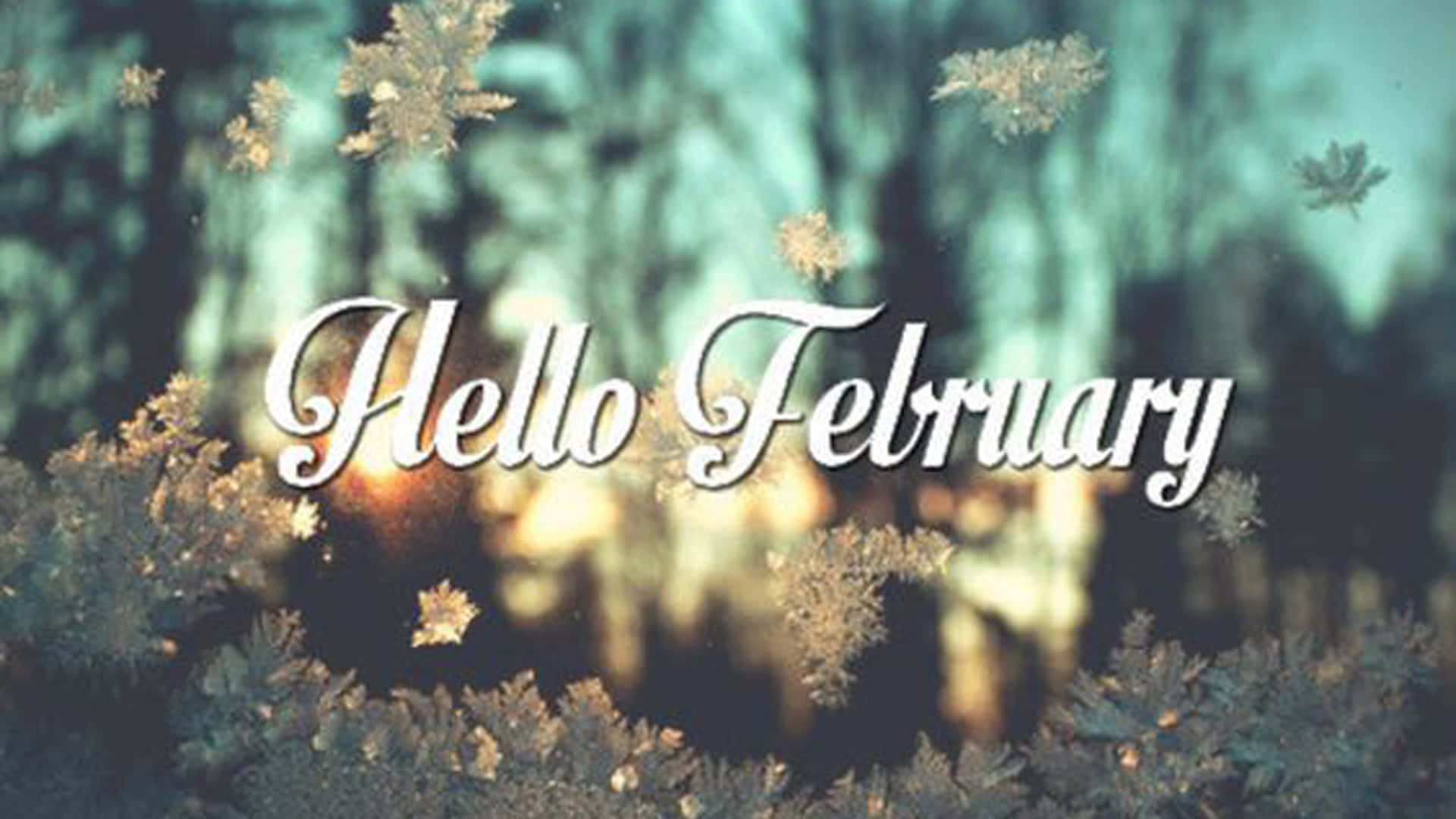 Welcome February! Background
