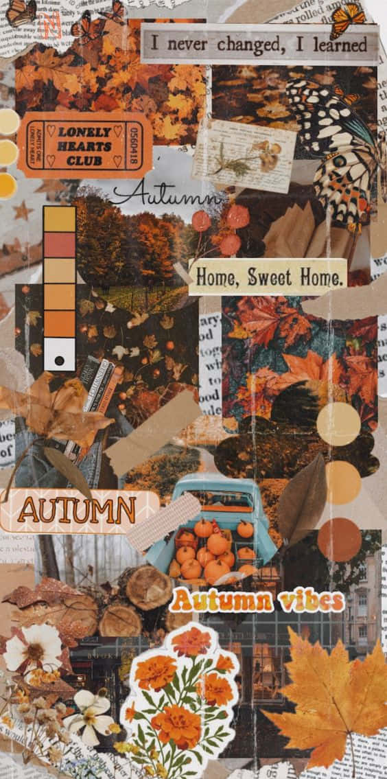 Welcome In The Autumn Season With The Beauty Of Nature Captured In This Stunning Pinterest Image. Background