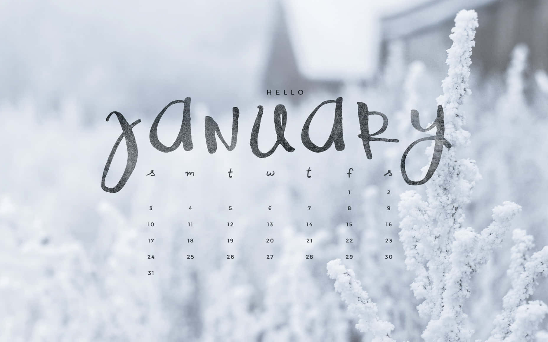 Welcome In The New Year With Hello January! Background