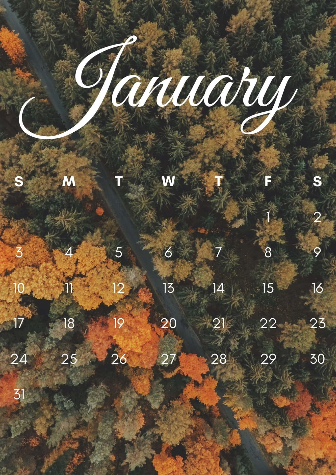 Welcome January With A Smile Background