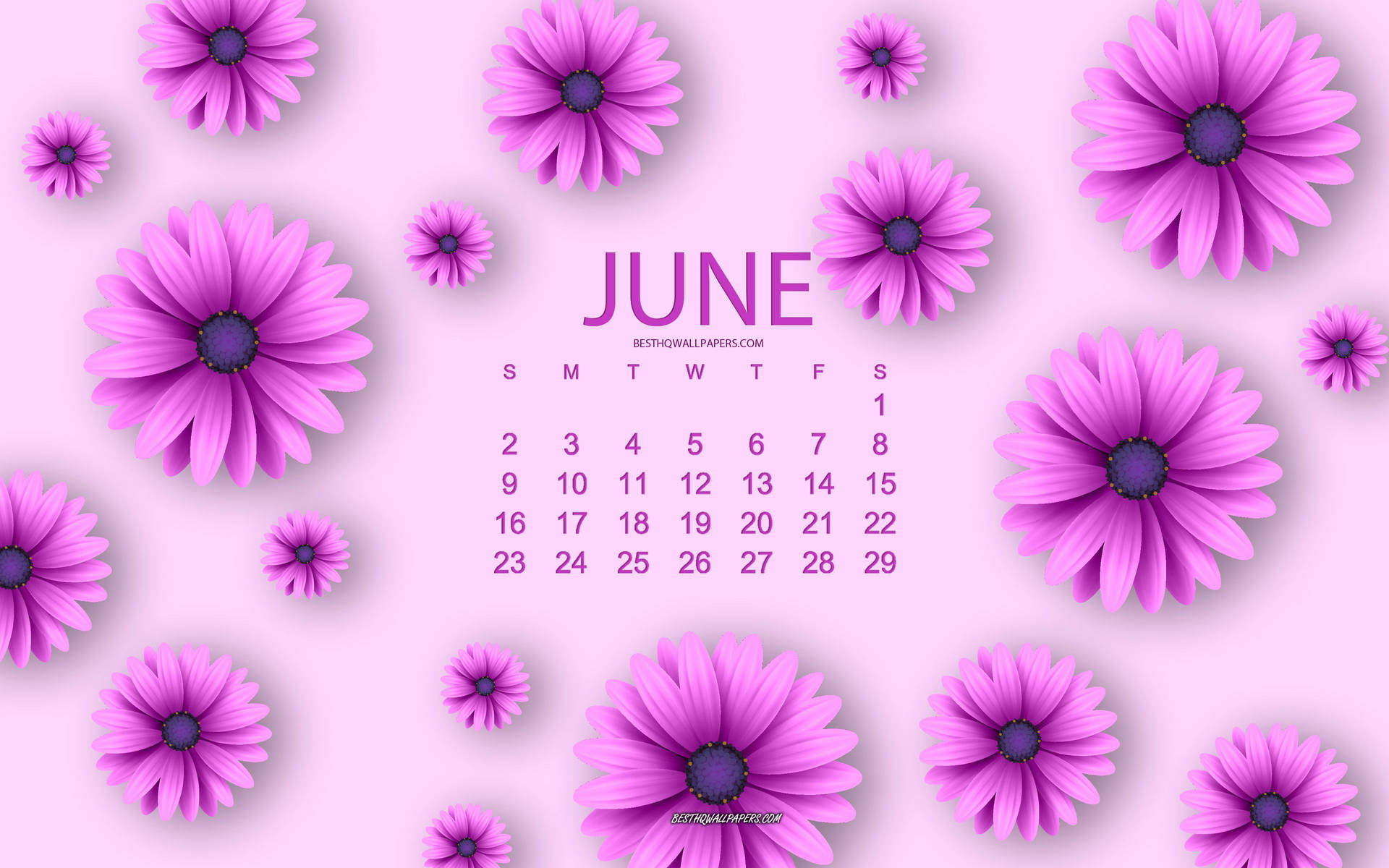 'welcome June With Blooming Lavender Fields'. Background