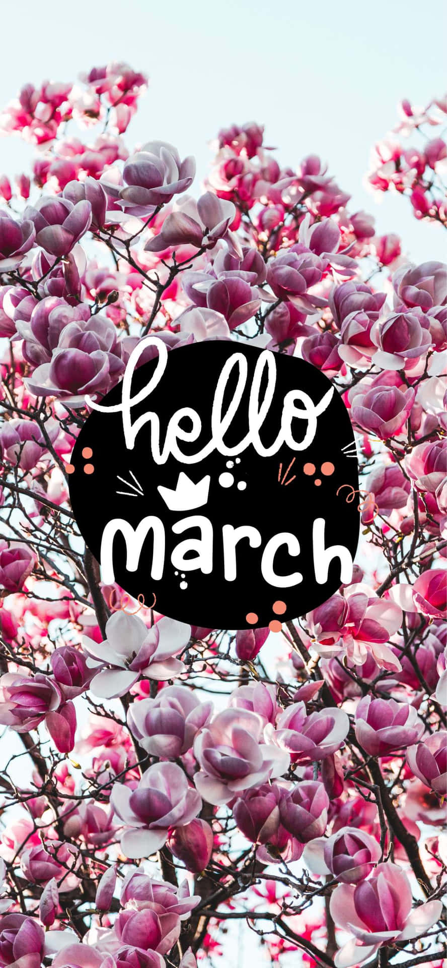 Welcome March!