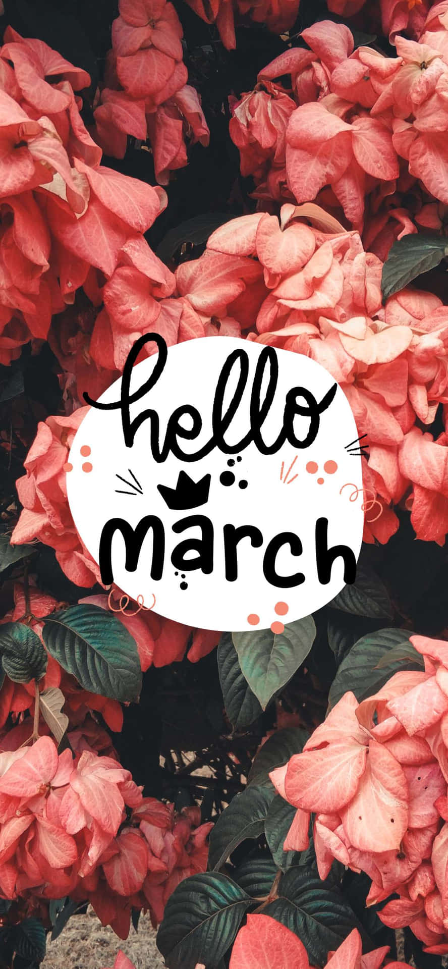 Welcome March!