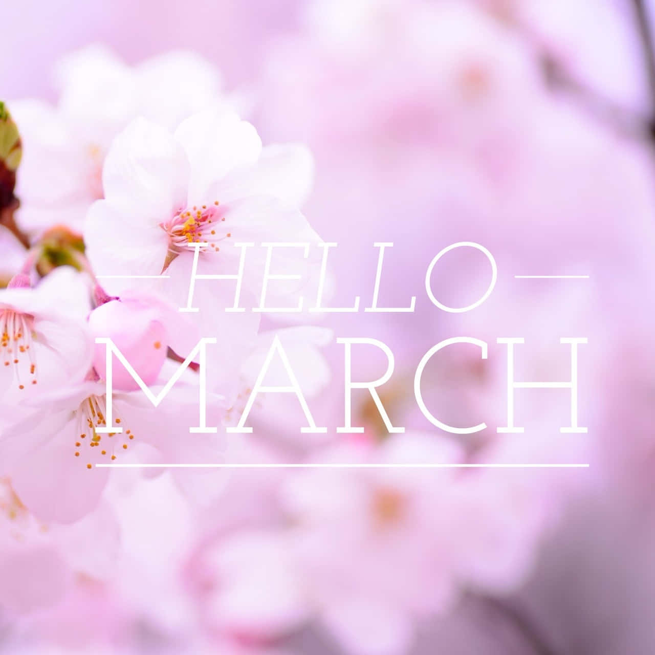 Welcome, March! New Beginnings Are Coming.