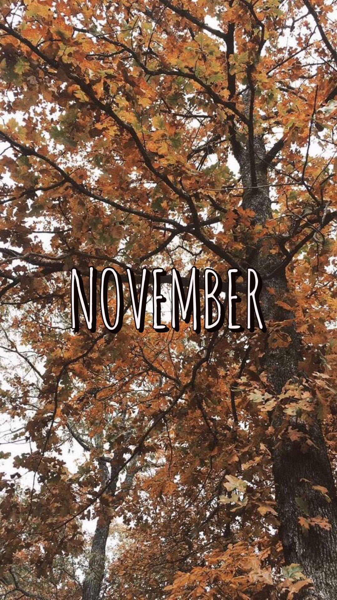 Welcome November With The New Iphone Background