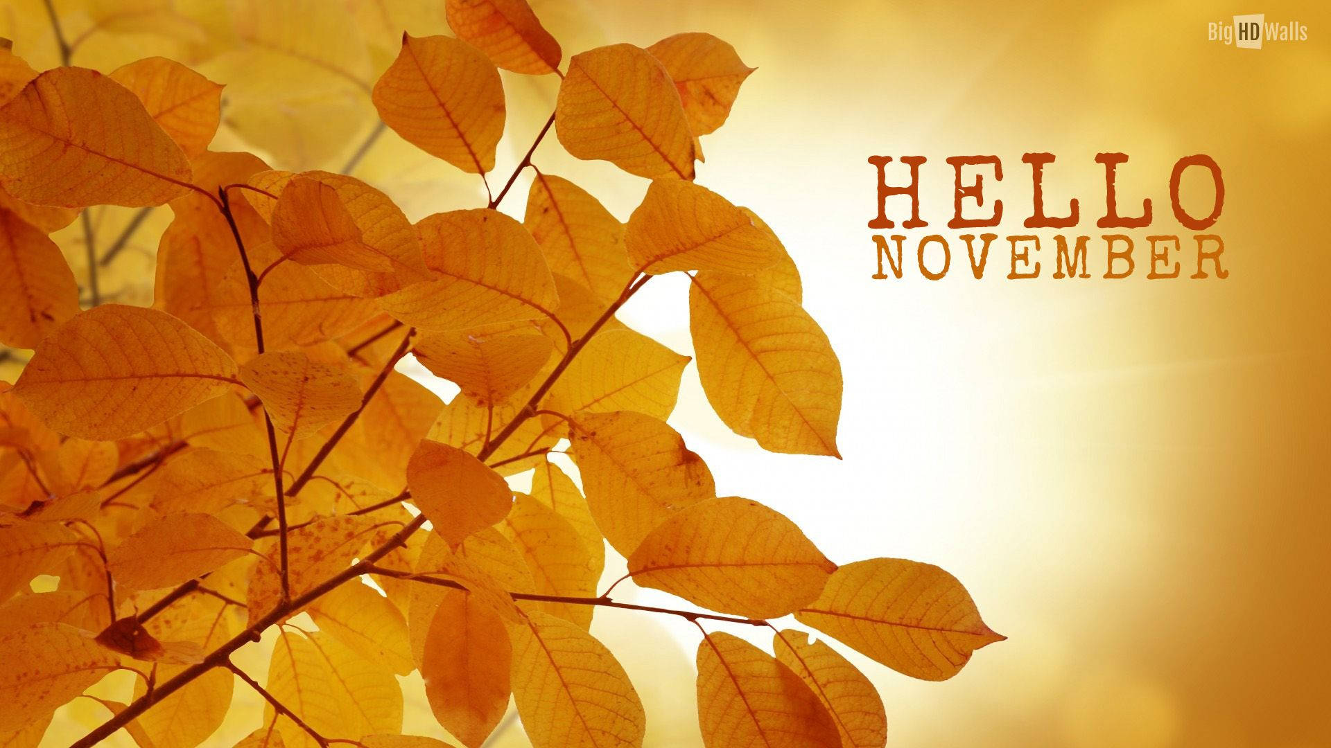 Welcome November! Background