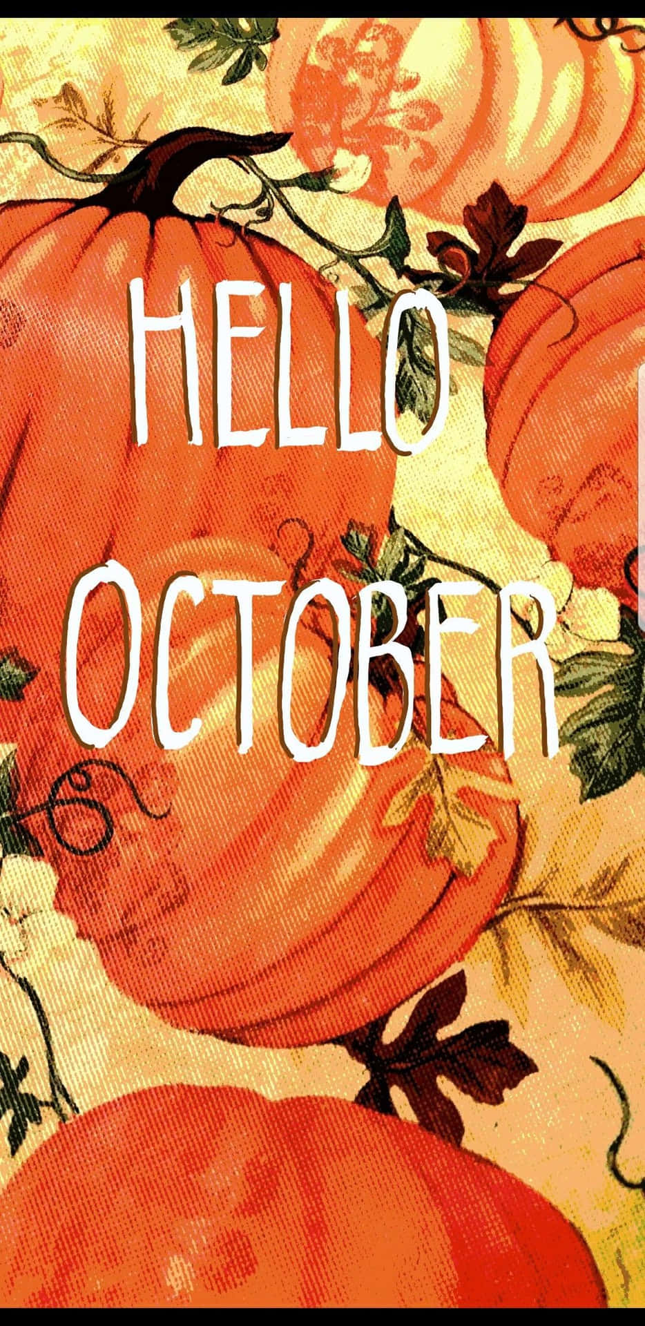 Welcome October With A Festive Pumpkin Display Background