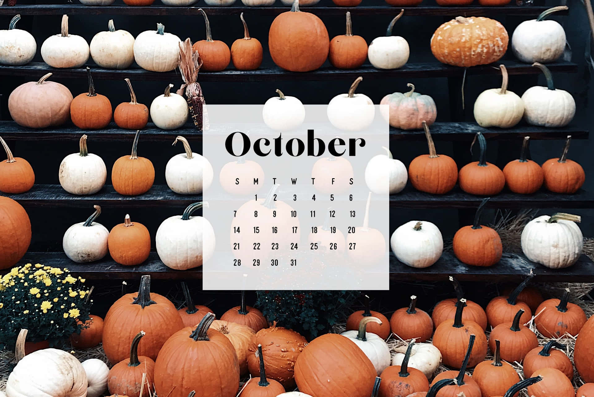 Welcome October With A Pumpkin Background
