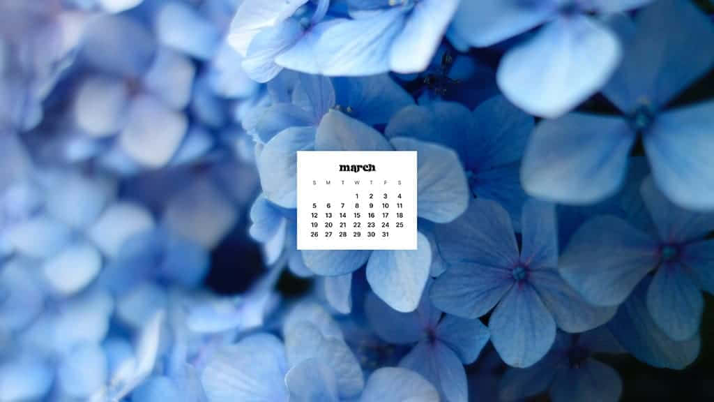 Welcome Spring With A March Desktop Wallpaper Background