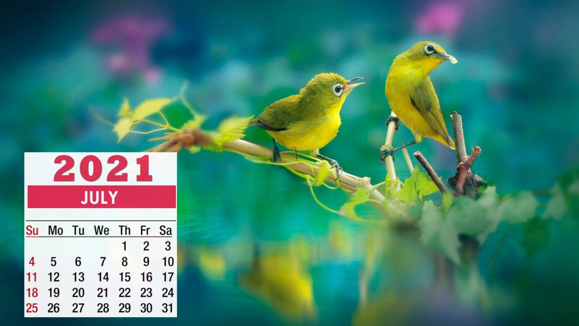 Welcome The Arrival Of July With Two Vibrant Green Birds Background