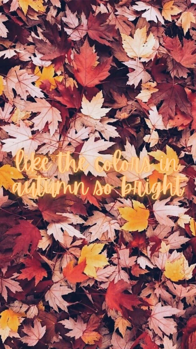 Welcome The Magical Colors Of The Season Background
