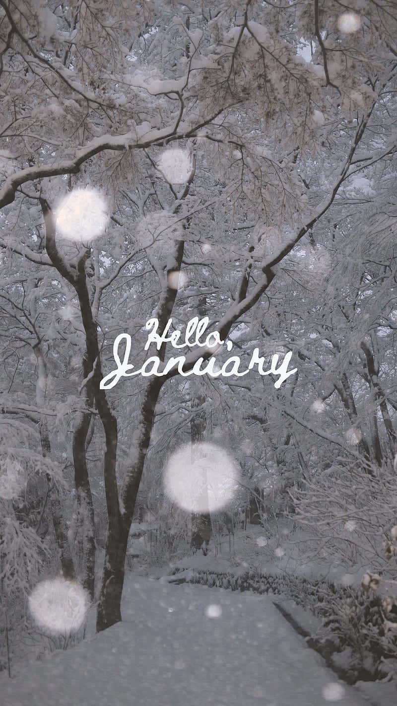 Welcome The New Year With Hello January Background