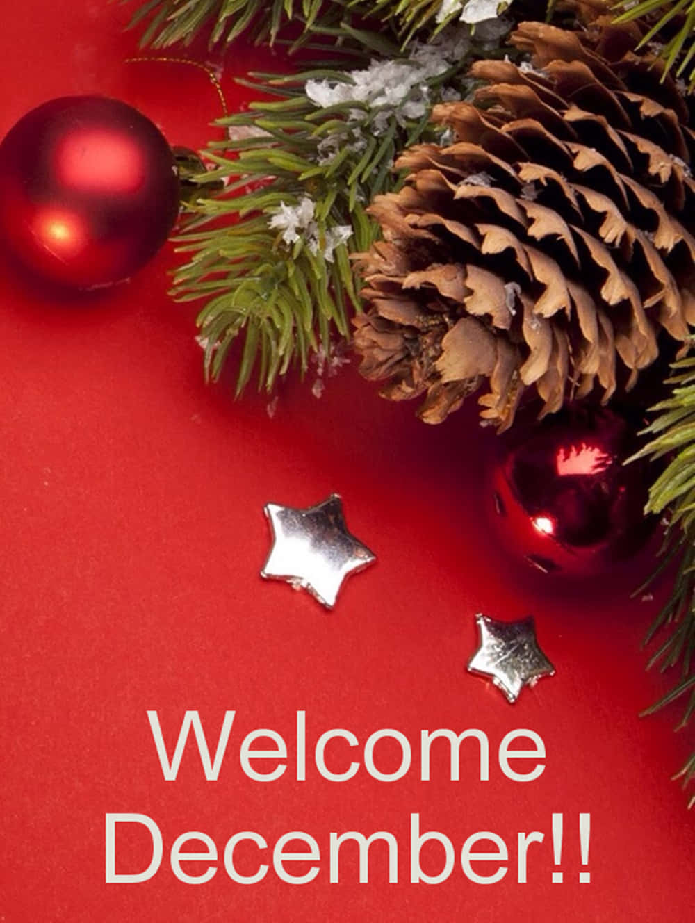 Welcome The Start Of The Festive Season With December!