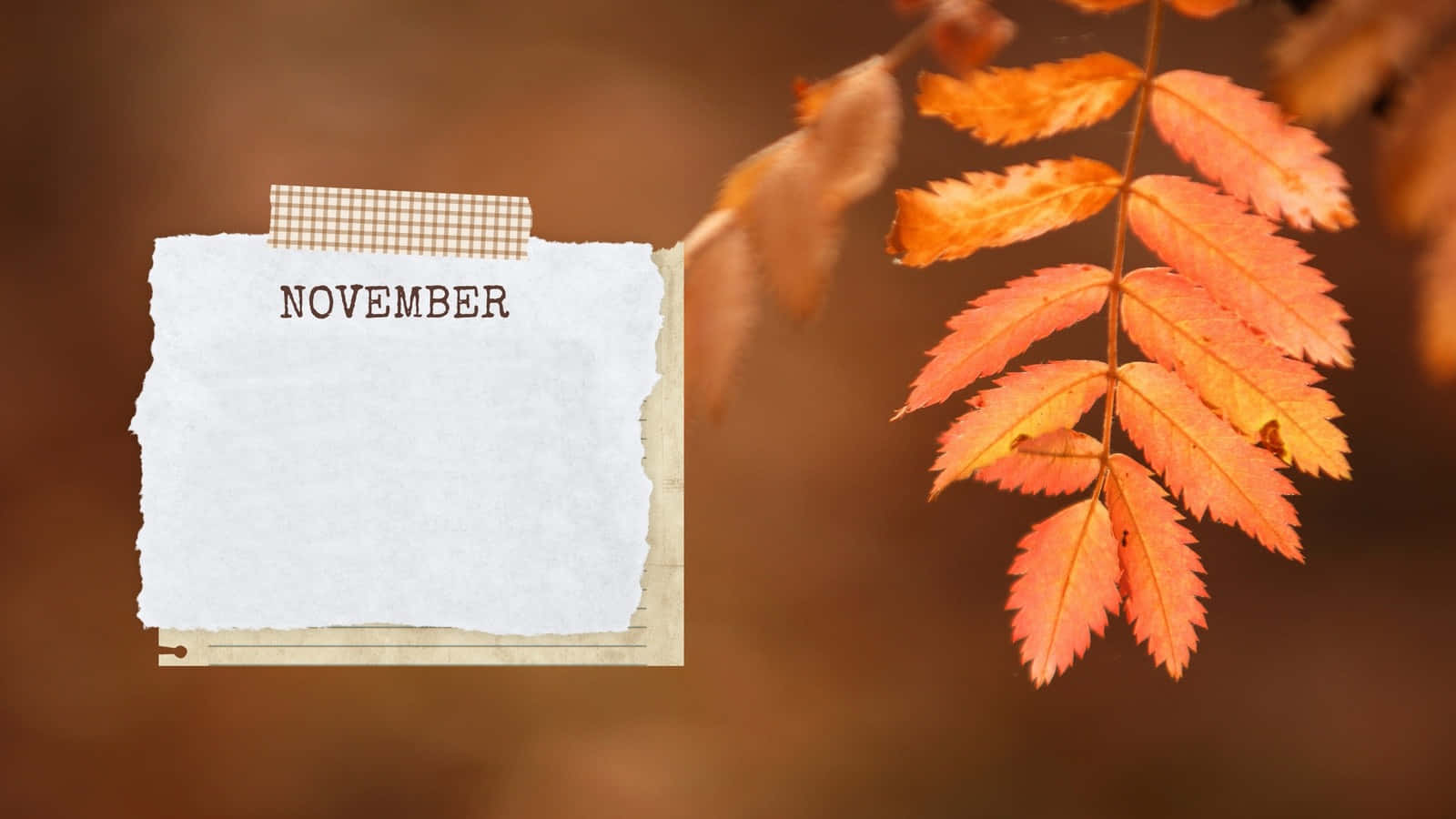 Welcome To Aesthetic November! Background