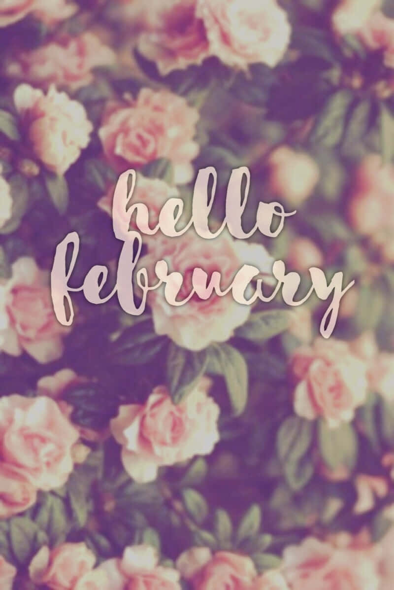 Welcome To February! Background