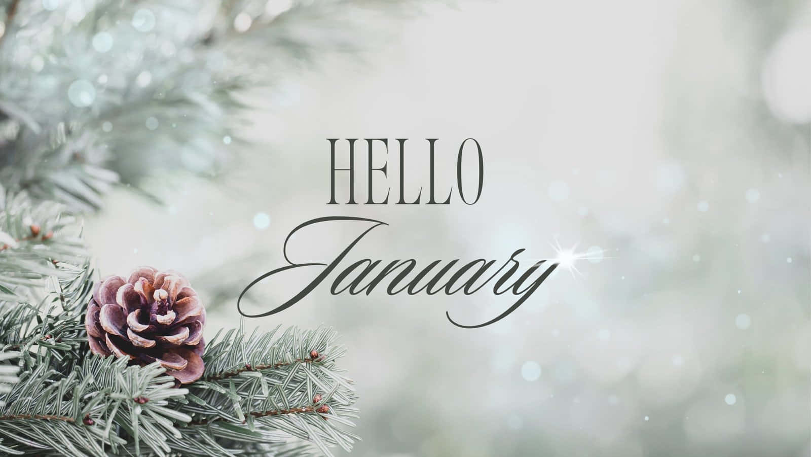 Welcome To January! Background