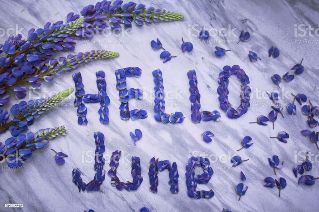 Welcome To June! Background