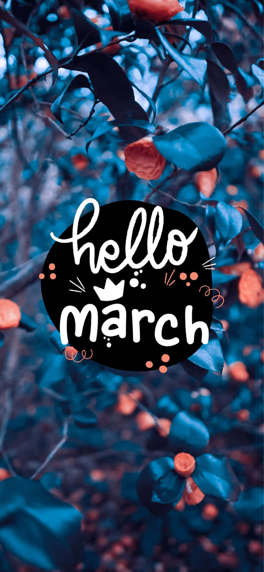 Welcome To March!