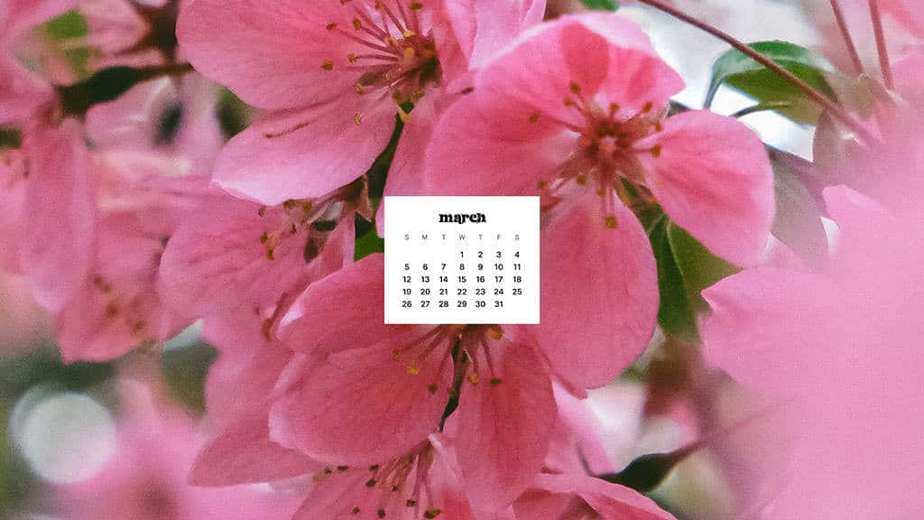 Welcome To March With Flowers And Nature