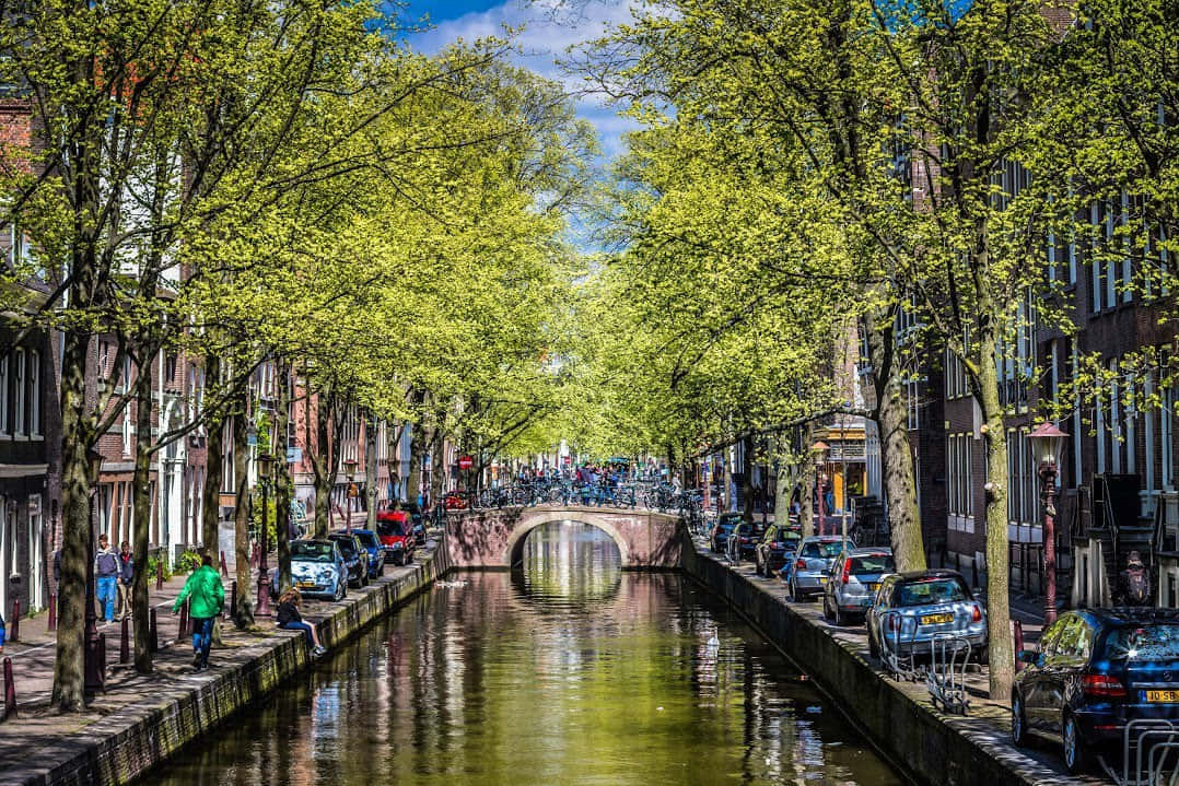 Welcome To The Beautiful Amsterdam In Springtime Background