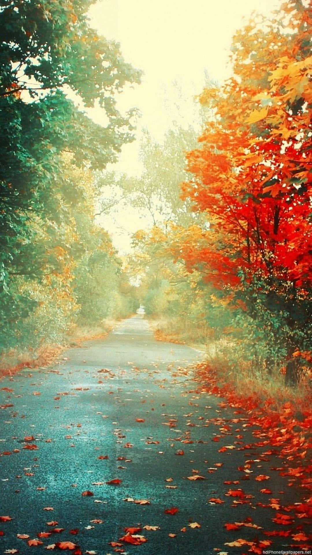 Welcome To The Beauty Of Nature Background