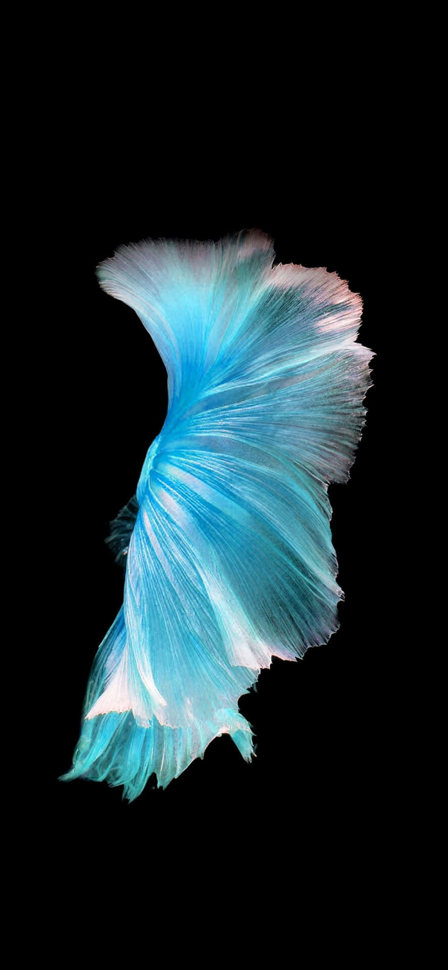 Welcome To The Big Apple! Background