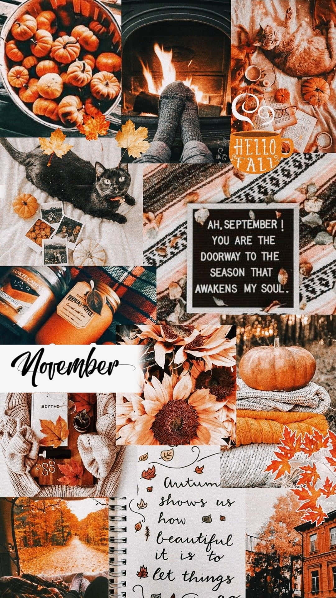 Welcome To The Cozy Month Of November! Background