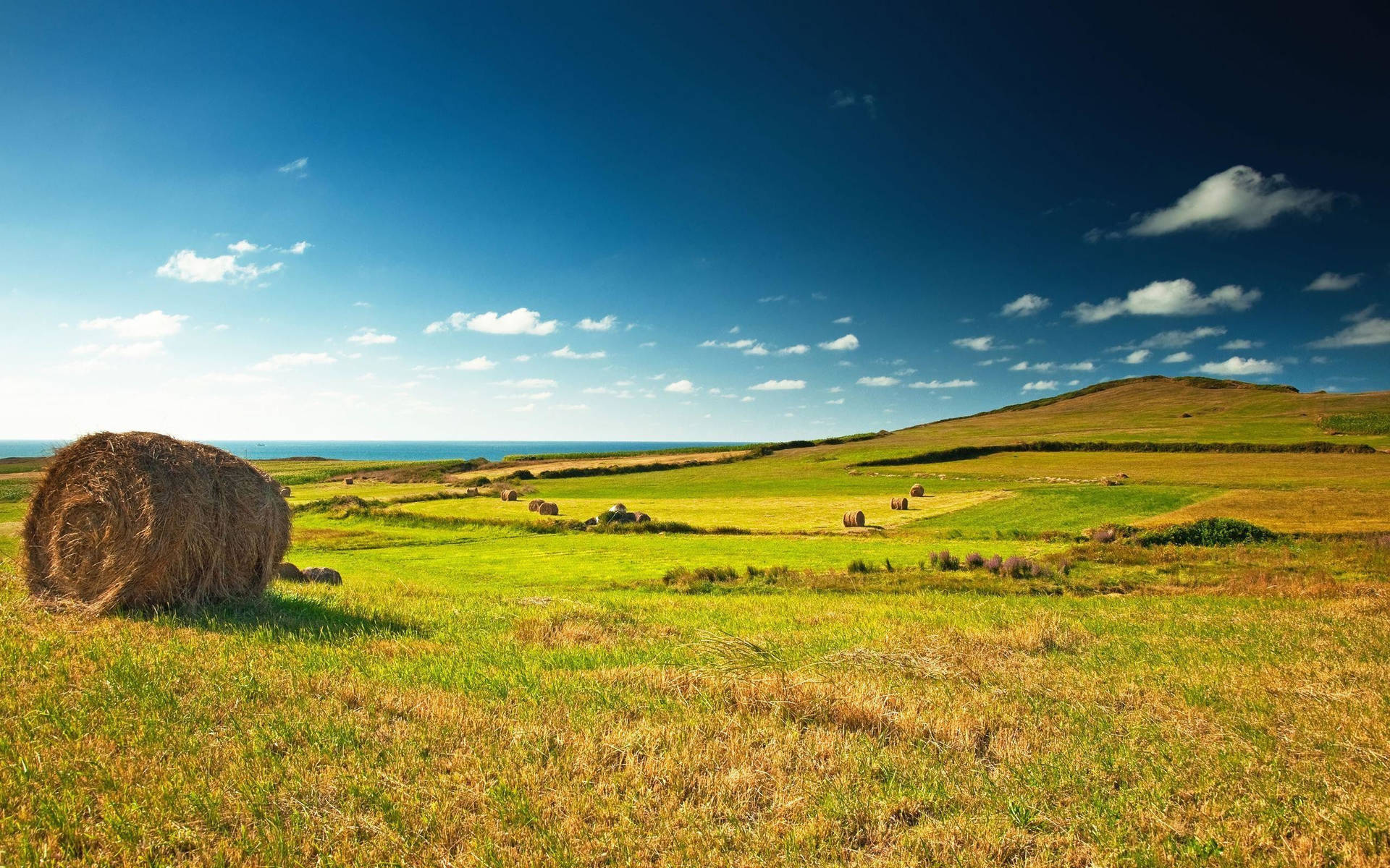 Welcome To The Farm. Background