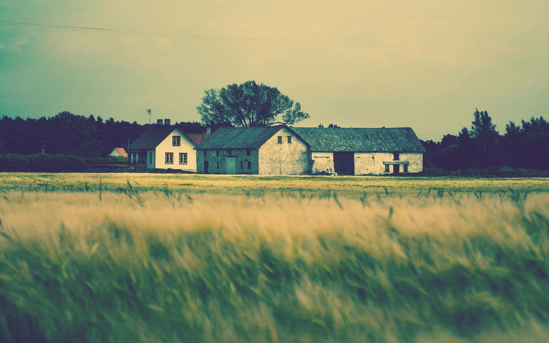 Welcome To The Farmhouse Background