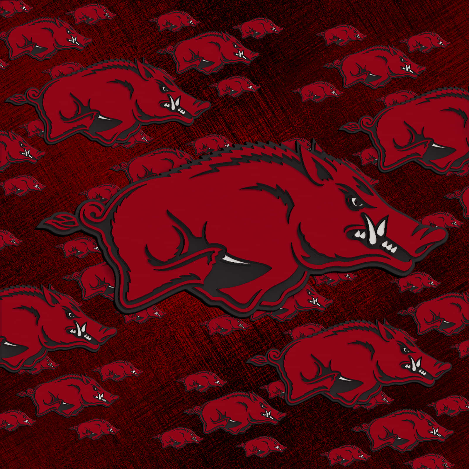 Welcome To The Home Of The Arkansas Razorbacks Background