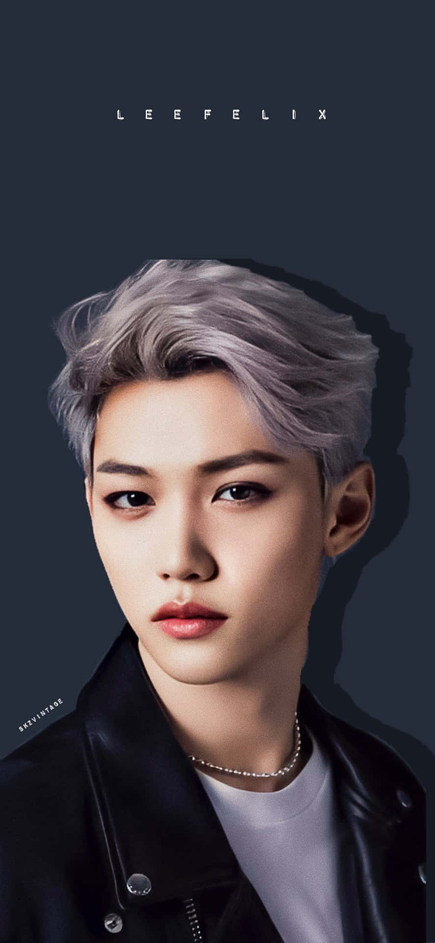 Welcome To The World Of Felix, Stray Kids Background