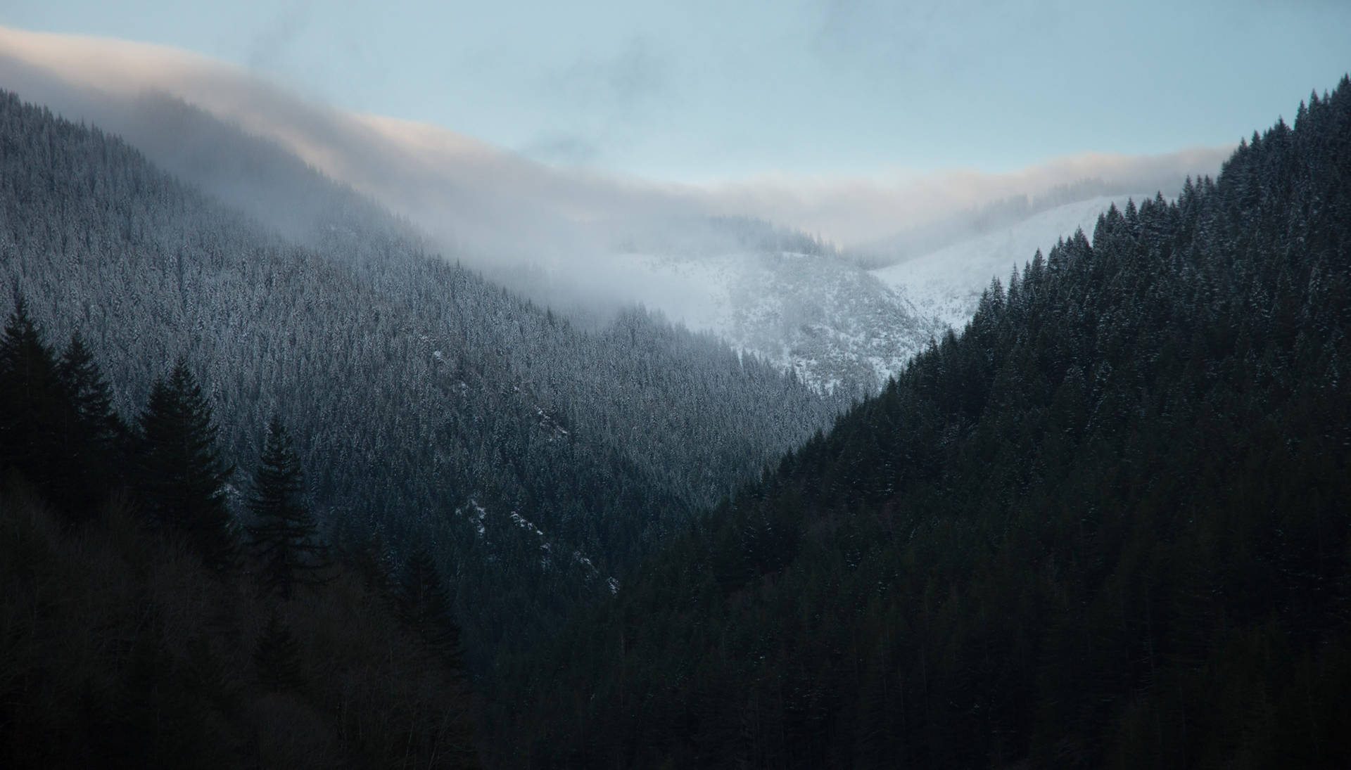 Welcome To Twin Peaks! Background